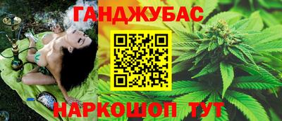 хмурый Шелехов
