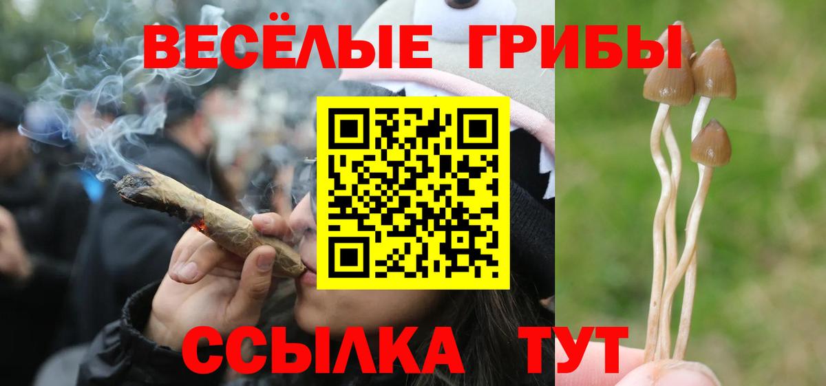 Вольск  Псилоцибиновые грибы Magic Shrooms  купить  цена  Вход с VPN  Галлюциногенные грибы мухоморы 
