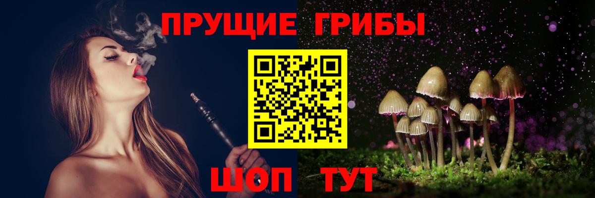 Галлюциногенные грибы Psilocybe Вольск